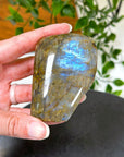 ELECTRIC BLUE MOONSTONE 3 (WISCONSIN) - Black Friday sale, blue moonstone, electric blue moonstone, moonstone, once in a blue moon, one of a kind, Wisconsin moonstone - The Mineral Maven