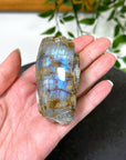ELECTRIC BLUE MOONSTONE 4 (WISCONSIN) - Black Friday sale, blue moonstone, electric blue moonstone, moonstone, once in a blue moon, one of a kind, Wisconsin moonstone - The Mineral Maven