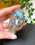 ELECTRIC BLUE MOONSTONE 4 (WISCONSIN) - Black Friday sale, blue moonstone, electric blue moonstone, moonstone, once in a blue moon, one of a kind, Wisconsin moonstone - The Mineral Maven