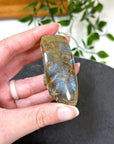 ELECTRIC BLUE MOONSTONE 6 (WISCONSIN) - Black Friday sale, blue moonstone, electric blue moonstone, moonstone, once in a blue moon, one of a kind, Wisconsin moonstone - The Mineral Maven