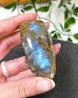 ELECTRIC BLUE MOONSTONE 6 (WISCONSIN) - Black Friday sale, blue moonstone, electric blue moonstone, moonstone, once in a blue moon, one of a kind, Wisconsin moonstone - The Mineral Maven