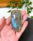 ELECTRIC BLUE MOONSTONE 6 (WISCONSIN) - Black Friday sale, blue moonstone, electric blue moonstone, moonstone, once in a blue moon, one of a kind, Wisconsin moonstone - The Mineral Maven