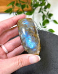 ELECTRIC BLUE MOONSTONE 6 (WISCONSIN) - Black Friday sale, blue moonstone, electric blue moonstone, moonstone, once in a blue moon, one of a kind, Wisconsin moonstone - The Mineral Maven