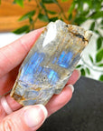 ELECTRIC BLUE MOONSTONE 7 (WISCONSIN) - Black Friday sale, blue moonstone, electric blue moonstone, moonstone, once in a blue moon, one of a kind, Wisconsin moonstone - The Mineral Maven