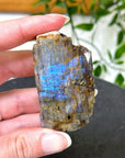 ELECTRIC BLUE MOONSTONE 8 (WISCONSIN) - Black Friday sale, blue moonstone, electric blue moonstone, moonstone, once in a blue moon, one of a kind, Wisconsin moonstone - The Mineral Maven