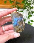 ELECTRIC BLUE MOONSTONE 8 (WISCONSIN) - Black Friday sale, blue moonstone, electric blue moonstone, moonstone, once in a blue moon, one of a kind, Wisconsin moonstone - The Mineral Maven