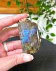 ELECTRIC BLUE MOONSTONE 8 (WISCONSIN) - Black Friday sale, blue moonstone, electric blue moonstone, moonstone, once in a blue moon, one of a kind, Wisconsin moonstone - The Mineral Maven