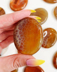FIRE AGATE THUMBSTONE - 33 bday, 444 sale, Agate, Black Friday sale, emotional support, end of year sale, fire agate, holiday sale, new year sale, pocket crystal, pocket stone, thumbstone, update, worry stone - The Mineral Maven