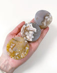 FLOWER AGATE DISC - 33 bday, Black Friday sale, flower agate, holiday sale, polished, polished stone - The Mineral Maven