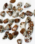 GARNET IN WOLLASTONITE TUMBLE - garnet, garnet in wollastonite, leo season, pocket crystal, polished, tucson mini drop, tumble, wollastonite - The Mineral Maven