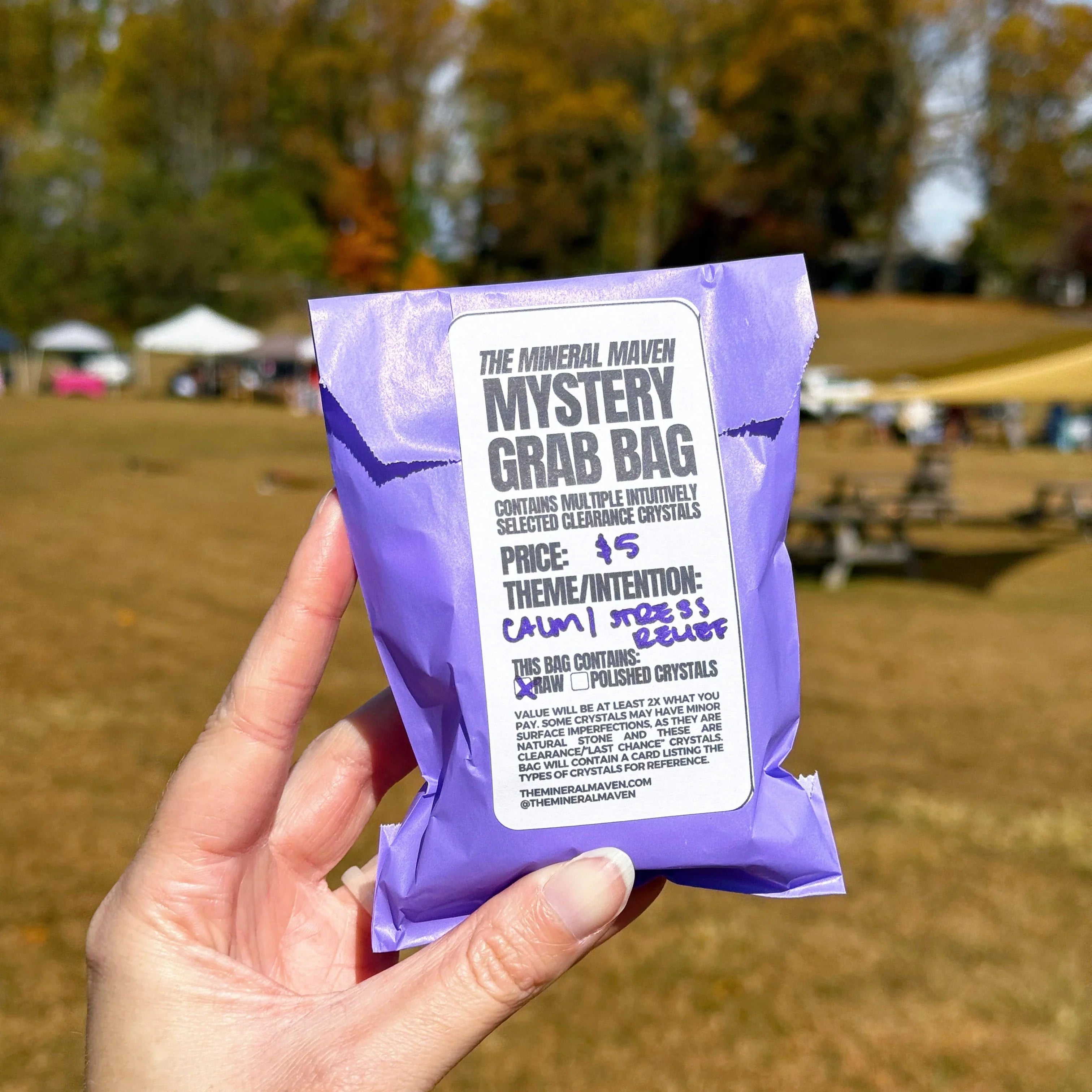 GRAB BAG - grab bag, mystery bag - The Mineral Maven