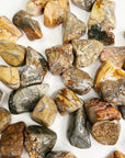 IBIS JASPER TUMBLE - 33 bday, 444 sale, Black Friday sale, brecciated jasper, bulk, emotional support, end of year sale, holiday sale, ibis jasper, jasper, new year sale, pocket crystal, pocket stone, quartz, spring equinox, tumble - The Mineral Maven