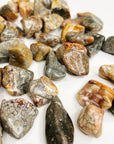 IBIS JASPER TUMBLE - 33 bday, 444 sale, Black Friday sale, brecciated jasper, bulk, emotional support, end of year sale, holiday sale, ibis jasper, jasper, new year sale, pocket crystal, pocket stone, quartz, spring equinox, tumble - The Mineral Maven