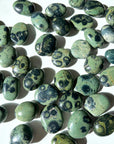 KAMBABA JASPER PEBBLE - 33 bday, 444 sale, Black Friday sale, calm gift bundle, end of year sale, holiday sale, kambaba, kambaba jasper, palm stone, pebble, pebbles, pocket crystal, pocket stone, tumble, tumbled stone, tumbles - The Mineral Maven