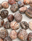 LEOPARDSKIN JASPER CHONK - 33 bday, Black Friday sale, bulk, connect to animals, emotional support, end of year sale, flash sale, grounding, holiday sale, jasper, leopard, leopardskin, leopardskin jasper, new year sale, old, pocket crystal, protection, stabilizing, stress relief, tumble, tumbled stone, tumbles - The Mineral Maven