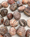 LEOPARDSKIN JASPER CHONK - 33 bday, Black Friday sale, bulk, connect to animals, emotional support, end of year sale, flash sale, grounding, holiday sale, jasper, leopard, leopardskin, leopardskin jasper, new year sale, old, pocket crystal, protection, stabilizing, stress relief, tumble, tumbled stone, tumbles - The Mineral Maven