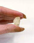 LIBYAN DESERT GLASS 4 - libyan desert glass, new year new crystals, tektite - The Mineral Maven