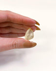 LIBYAN DESERT GLASS 4 - libyan desert glass, new year new crystals, tektite - The Mineral Maven
