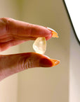 LIBYAN DESERT GLASS 4 - libyan desert glass, new year new crystals, tektite - The Mineral Maven