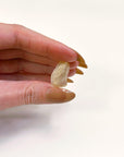 LIBYAN DESERT GLASS 4 - libyan desert glass, new year new crystals, tektite - The Mineral Maven