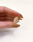 LIBYAN DESERT GLASS 4 - libyan desert glass, new year new crystals, tektite - The Mineral Maven
