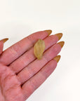 LIBYAN DESERT GLASS 5 - libyan desert glass, new year new crystals, tektite - The Mineral Maven