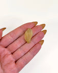 LIBYAN DESERT GLASS 5 - libyan desert glass, new year new crystals, tektite - The Mineral Maven