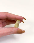 LIBYAN DESERT GLASS 5 - libyan desert glass, new year new crystals, tektite - The Mineral Maven