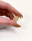 LIBYAN DESERT GLASS 6 - libyan desert glass, new year new crystals, tektite - The Mineral Maven