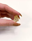 LIBYAN DESERT GLASS 6 - libyan desert glass, new year new crystals, tektite - The Mineral Maven