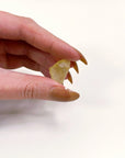 LIBYAN DESERT GLASS 6 - libyan desert glass, new year new crystals, tektite - The Mineral Maven