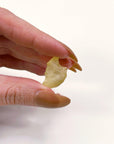 LIBYAN DESERT GLASS 6 - libyan desert glass, new year new crystals, tektite - The Mineral Maven