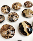 MADAGASCAR OPAL PEBBLE - 33 bday, 444 sale, 7 sale, Black Friday sale, black opal, brown opal, end of year sale, focus gift bundle, holiday sale, madagascar opal, new year sale, opal, palm stone, palmstone, pebble, pebbles, pocket crystal, pocket stone, tucson update - The Mineral Maven