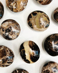 MADAGASCAR OPAL PEBBLE - 33 bday, 444 sale, 7 sale, Black Friday sale, black opal, brown opal, end of year sale, focus gift bundle, holiday sale, madagascar opal, new year sale, opal, palm stone, palmstone, pebble, pebbles, pocket crystal, pocket stone, tucson update - The Mineral Maven
