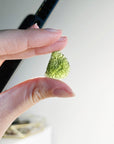 MOLDAVITE 2 - moldavite, tektite - The Mineral Maven