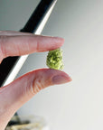 MOLDAVITE 8 - moldavite, tektite - The Mineral Maven