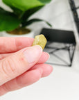 MOROCCAN APATITE - SINGLE CRYSTAL - 33 bday, apatite, Black Friday sale, bulk, end of year sale, focus gift bundle, golden apatite, green apatite, holiday sale, new year sale, pocket crystal, pocket crystals, pocket stone, raw crystal, raw stone, yellow apatite - The Mineral Maven