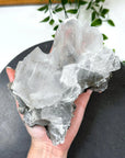 NAICA SELENITE 4 - naica mine, naica selenite, once in a blue moon, one of a kind, selenite - The Mineral Maven