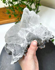 NAICA SELENITE 4 - naica mine, naica selenite, once in a blue moon, one of a kind, selenite - The Mineral Maven