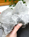 NAICA SELENITE 4 - naica mine, naica selenite, once in a blue moon, one of a kind, selenite - The Mineral Maven