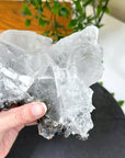NAICA SELENITE 4 - naica mine, naica selenite, once in a blue moon, one of a kind, selenite - The Mineral Maven