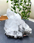 NAICA SELENITE 4 - naica mine, naica selenite, once in a blue moon, one of a kind, selenite - The Mineral Maven