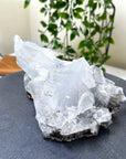 NAICA SELENITE 4 - naica mine, naica selenite, once in a blue moon, one of a kind, selenite - The Mineral Maven