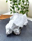 NAICA SELENITE 4 - naica mine, naica selenite, once in a blue moon, one of a kind, selenite - The Mineral Maven