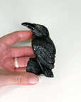 ONYX RAVEN - black onyx, crow, crystal critter, new critter drop, onyx, polished, polished stone, raven - The Mineral Maven