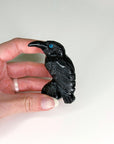 ONYX RAVEN - black onyx, crow, crystal critter, new critter drop, onyx, polished, polished stone, raven - The Mineral Maven