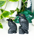 ONYX RAVEN - black onyx, crow, crystal critter, new critter drop, onyx, polished, polished stone, raven - The Mineral Maven