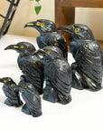 ONYX RAVEN - black onyx, crow, crystal critter, new critter drop, onyx, polished, polished stone, raven - The Mineral Maven