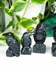 ONYX RAVEN - black onyx, crow, crystal critter, new critter drop, onyx, polished, polished stone, raven - The Mineral Maven