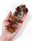 'OXBLOOD' HEMATITE IN QUARTZ CLUSTER - Black Friday sale, hematite, hematite in quartz, hematoid quartz, oxblood hematite in quartz, quartz cluster, raw crystal, raw point, raw stone, rough crystal, Rough Stone - The Mineral Maven
